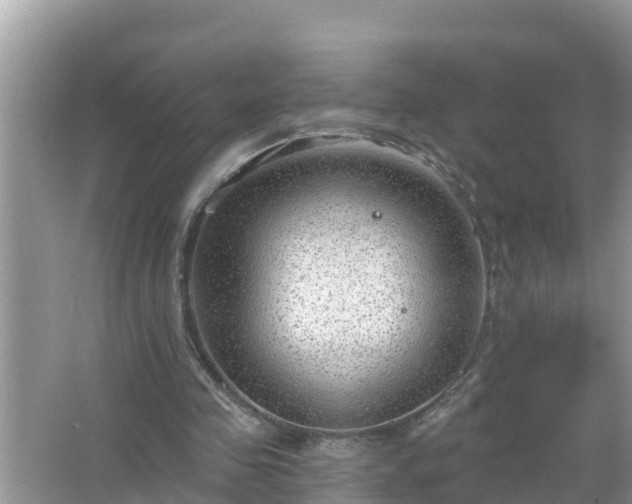 X0000067530341200604150231