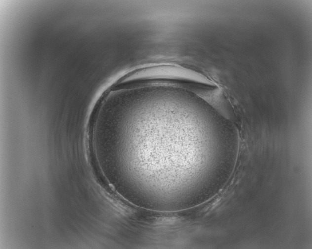 X0000067530342200604150231