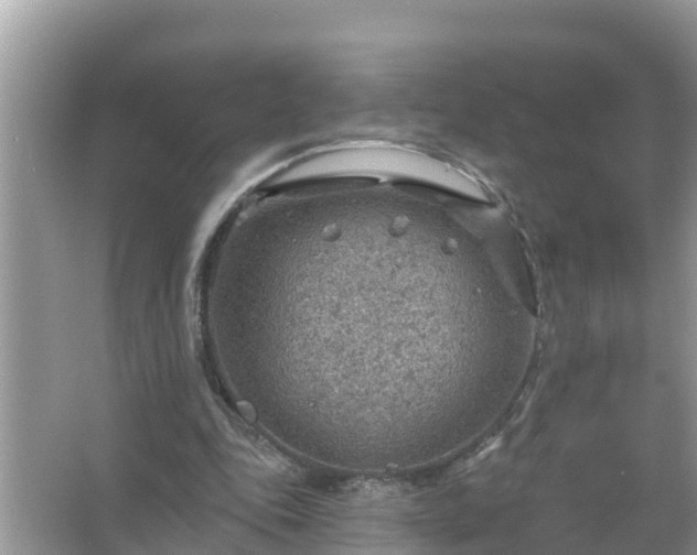 X0000067530343200604150231