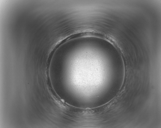 X0000067530345200604150231