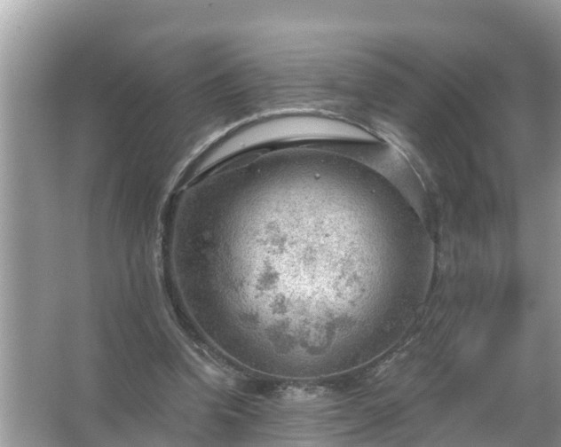 X0000067530346200604150231