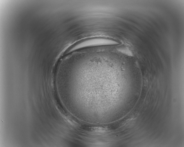 X0000067530347200604150231