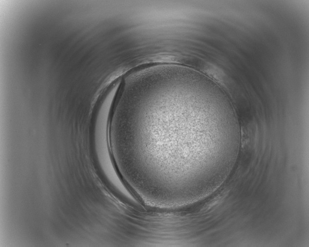 X0000067530349200604150231