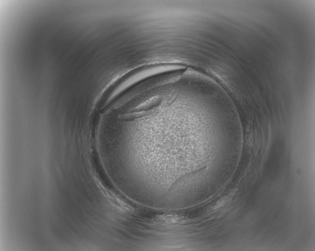 X0000067530351200604150231