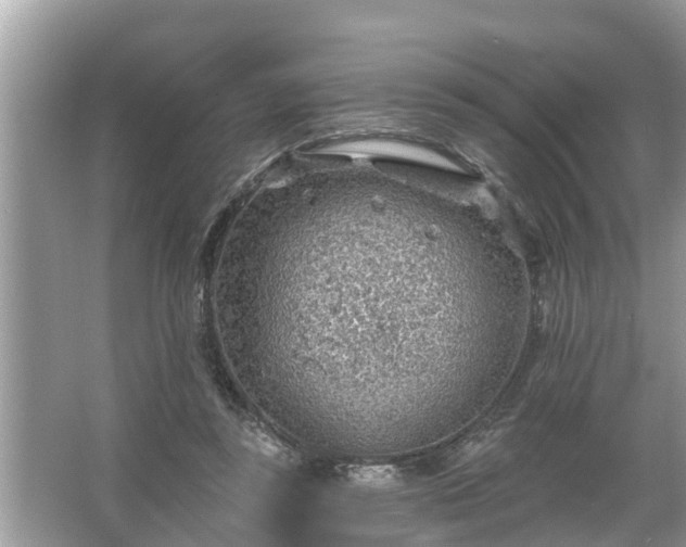 X0000067530355200604150231