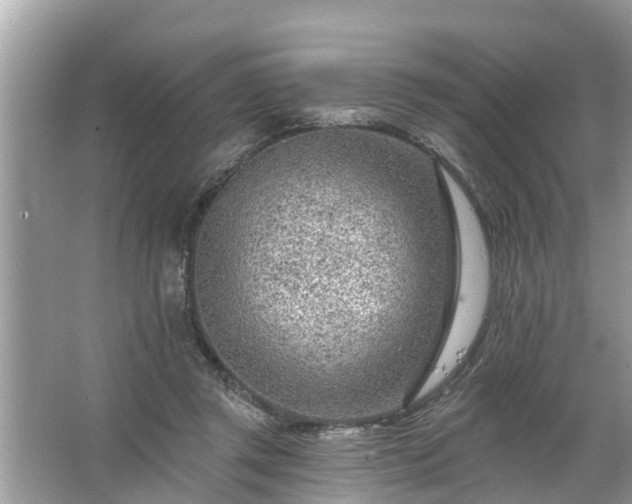 X0000067530357200604150231