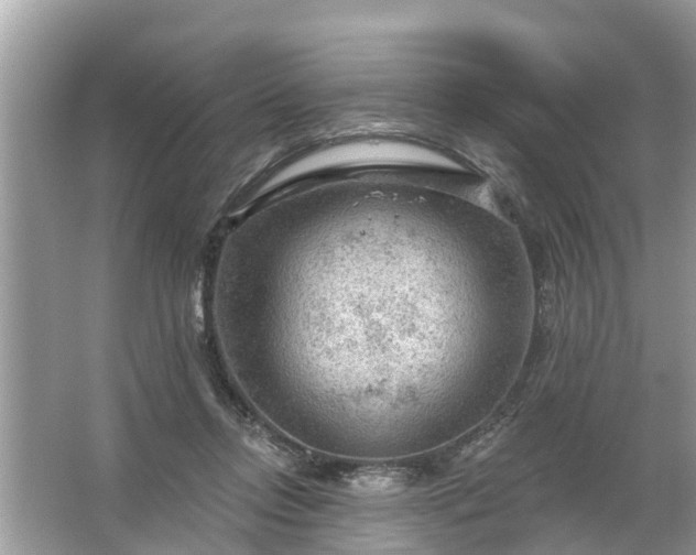 X0000067530358200604150231