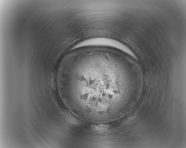 X0000067530359200604150231