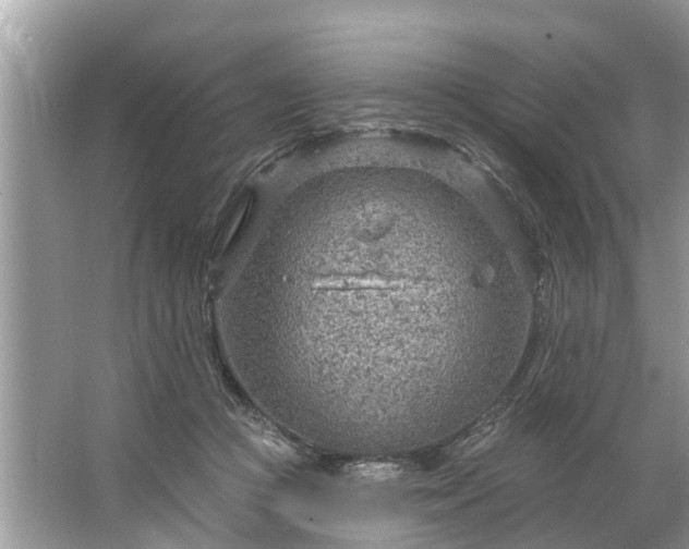 X0000067530361200604150231