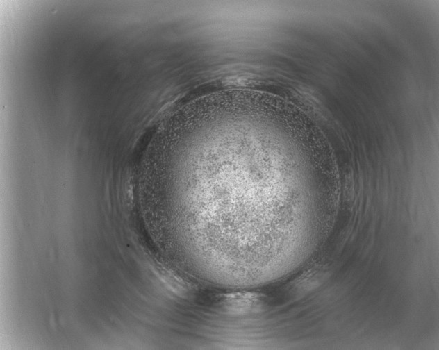 X0000067530363200604150231