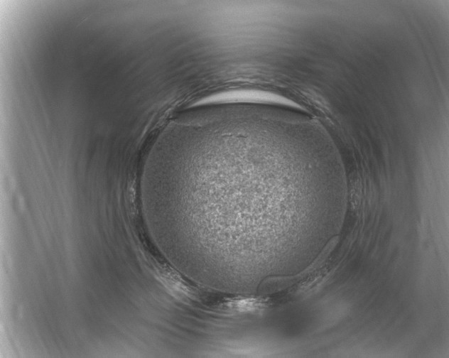 X0000067530365200604150231