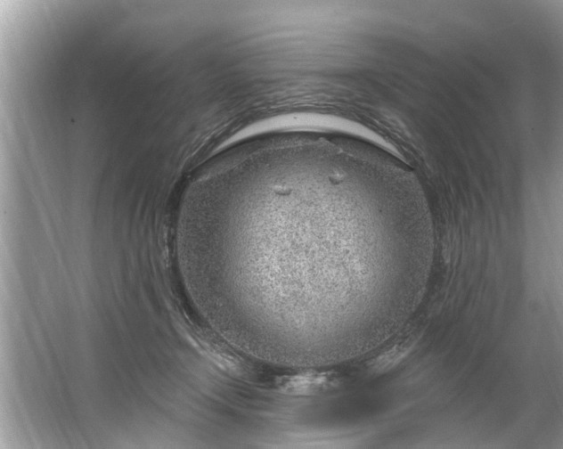 X0000067530366200604150231