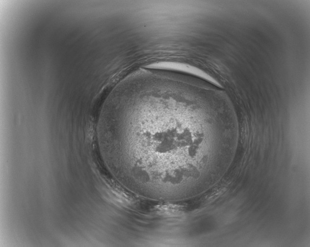 X0000067530367200604150231