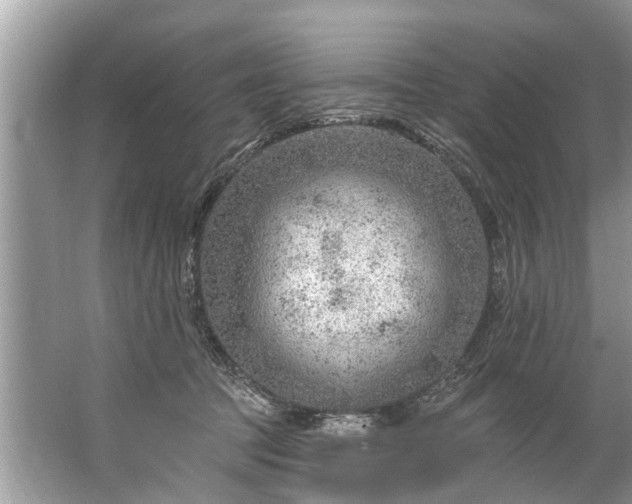 X0000067530369200604150232