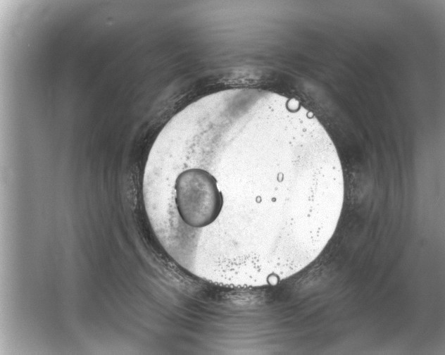 X0000067530370200604150232