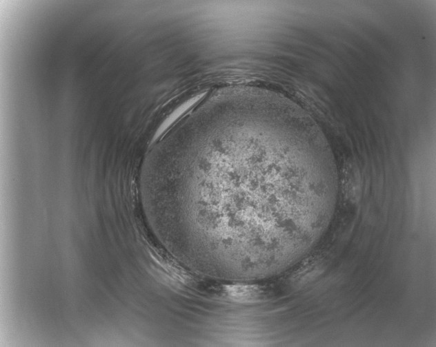 X0000067530371200604150232