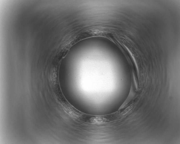 X0000067530372200604150232