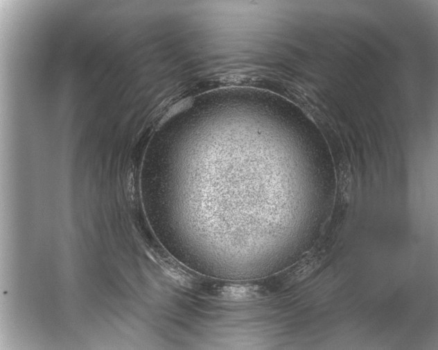 X0000067530375200604150232