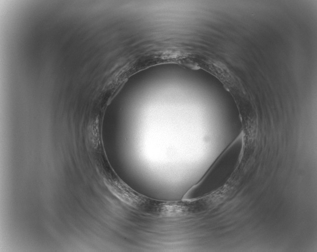 X0000067530376200604150232