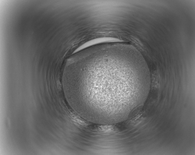 X0000067530377200604150232