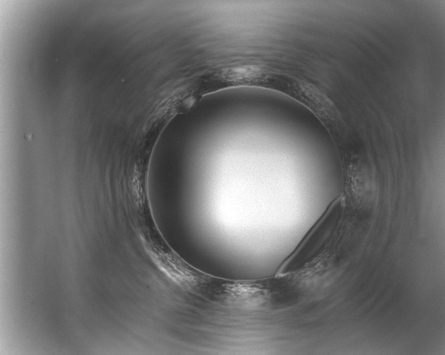 X0000067530380200604150232