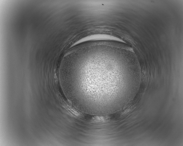 X0000067530381200604150232