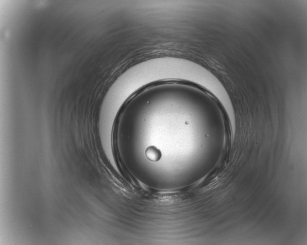 X0000067530382200604150232