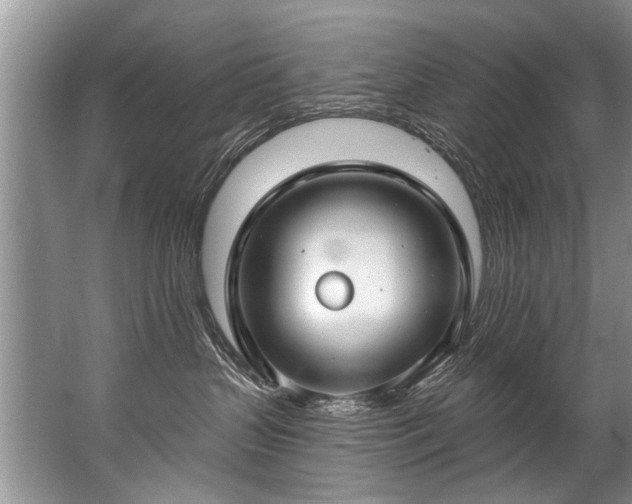 X0000067530383200604150232