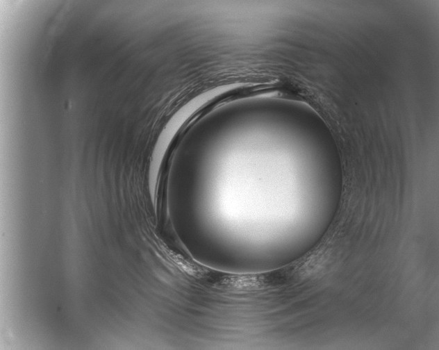 X0000067530384200604150232