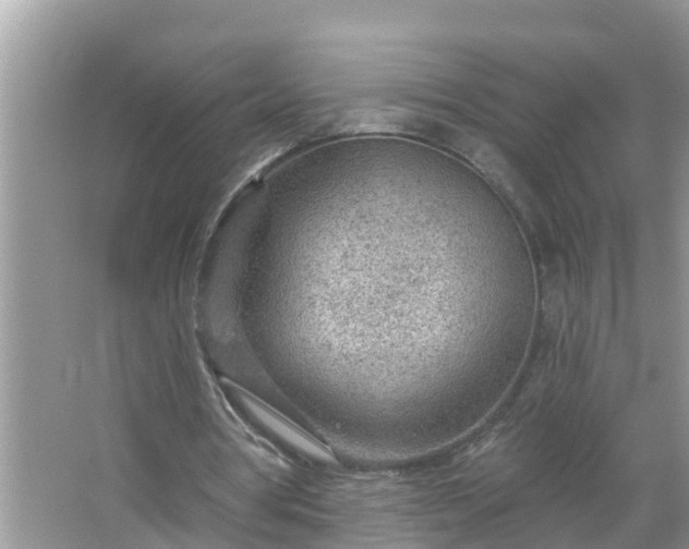 X0000067530386200604150231