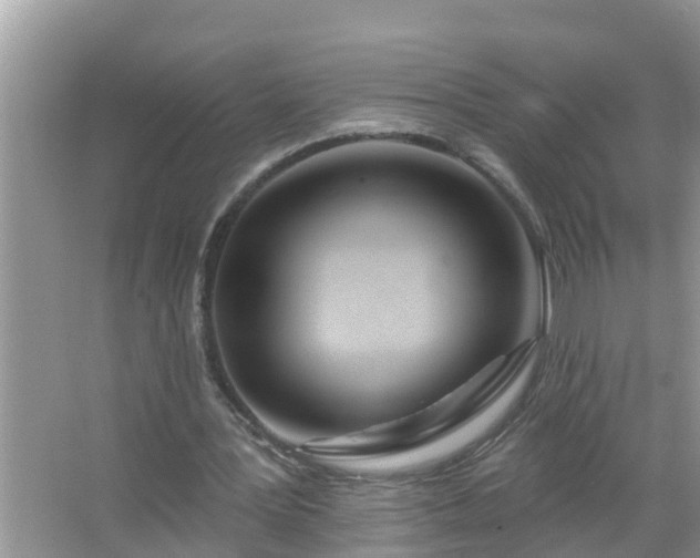 X0000067530387200604150231