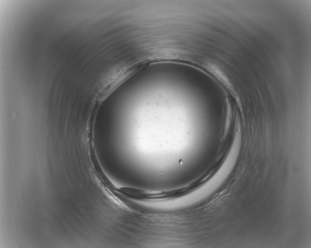 X0000067530389200604150231