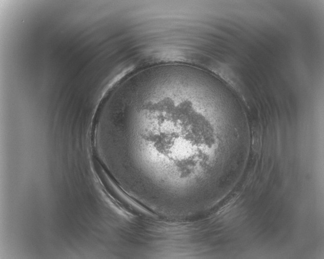 X0000067530390200604150231