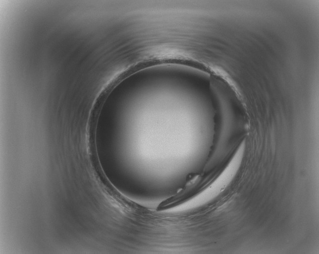 X0000067530391200604150231