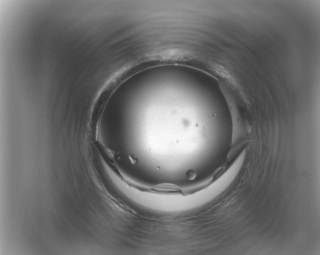 X0000067530392200604150231