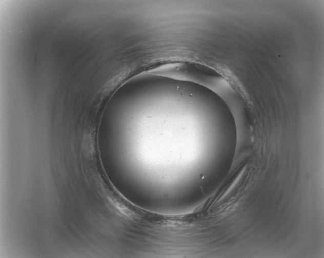 X0000067530393200604150231