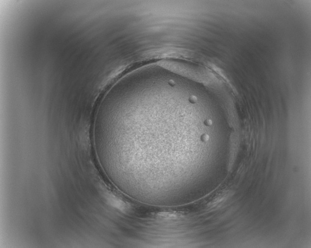 X0000067530394200604150231