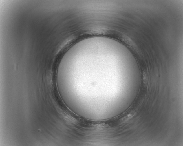 X0000067530396200604150231