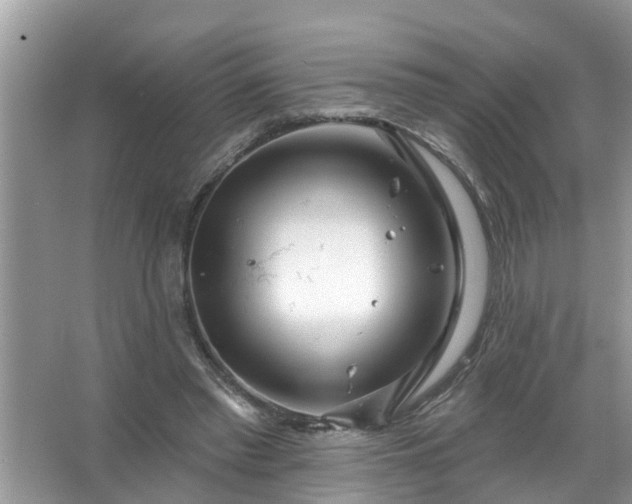 X0000067530397200604150231