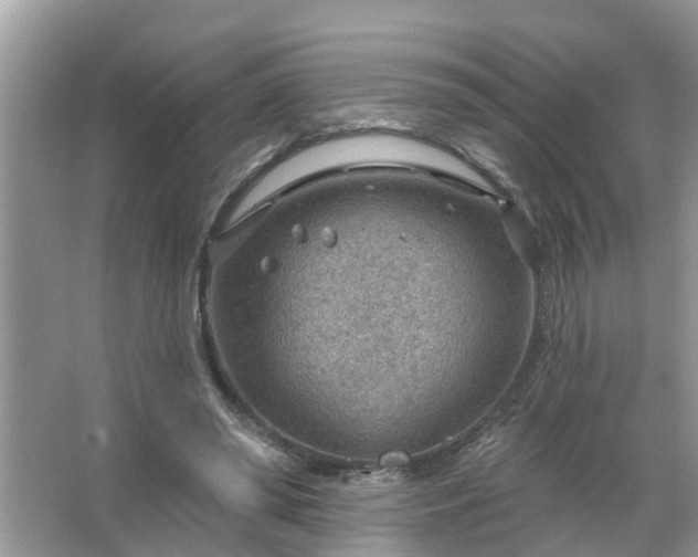 X0000067530398200604150231