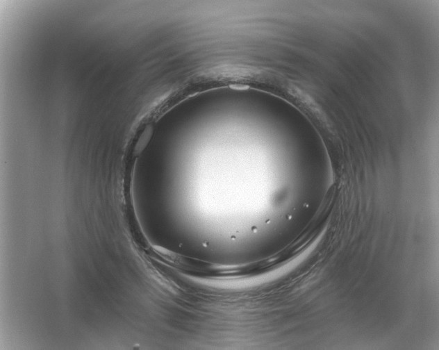 X0000067530399200604150231