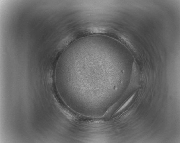 X0000067530402200604150231