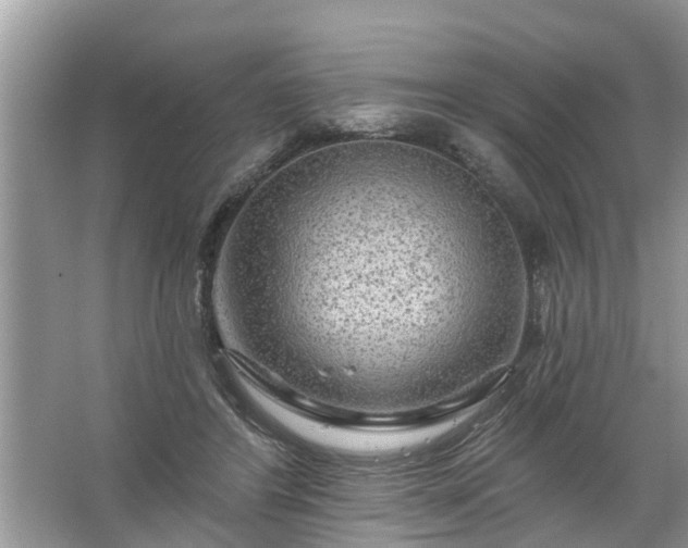 X0000067530404200604150231