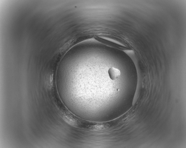 X0000067530406200604150231