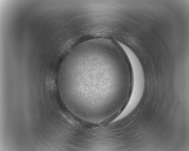 X0000067530408200604150231