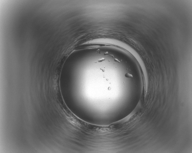 X0000067530409200604150231