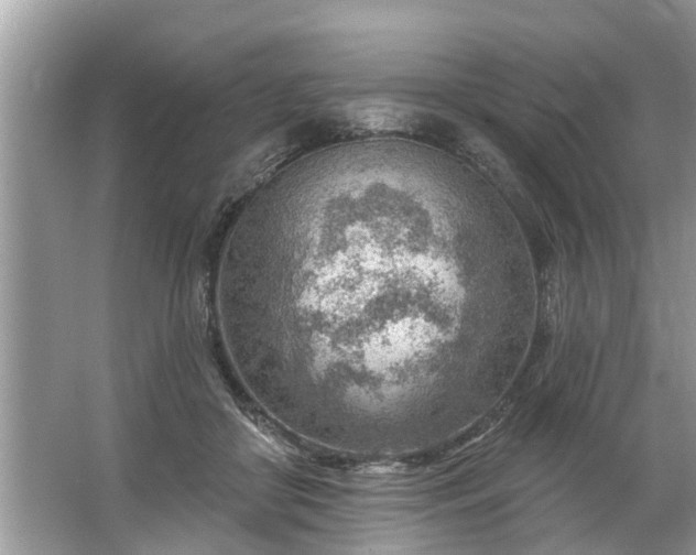 X0000067530410200604150231