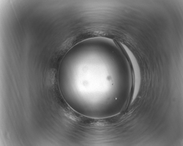 X0000067530412200604150231