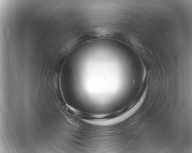 X0000067530413200604150230