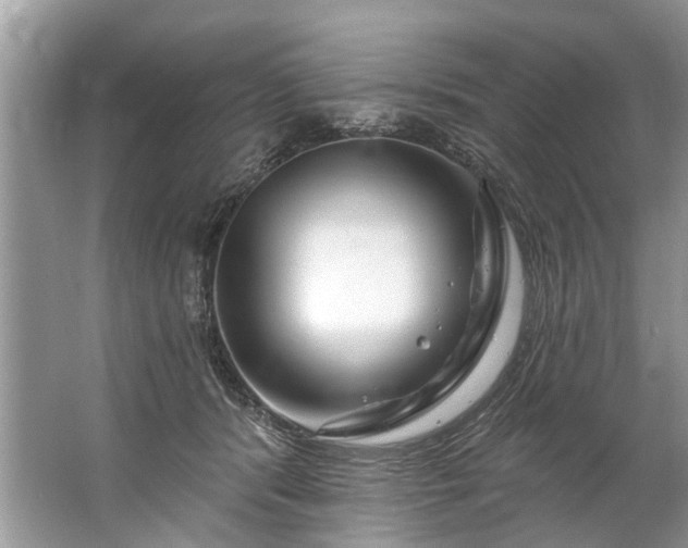 X0000067530416200604150230